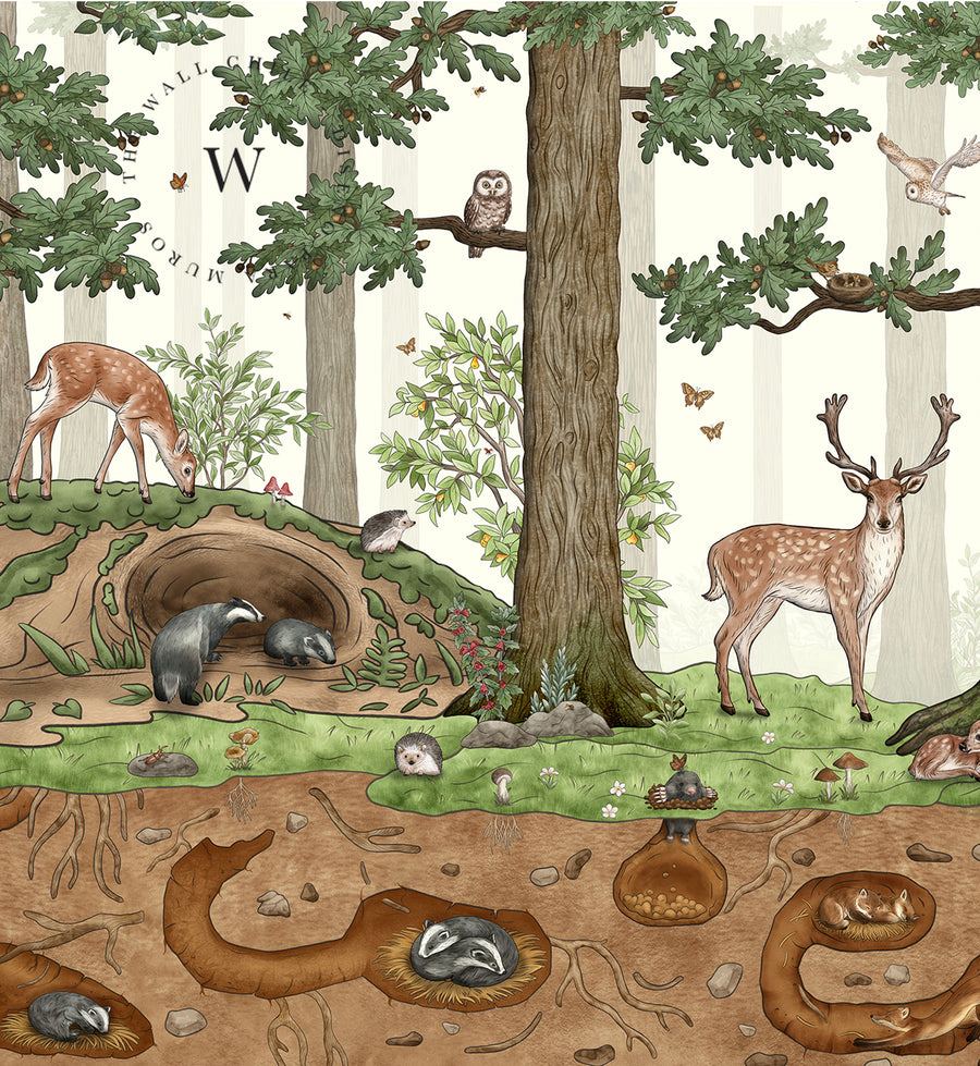Animals in the Forest