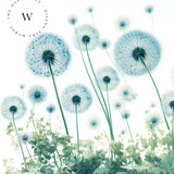 Blue Dandelion