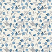 Blueberry