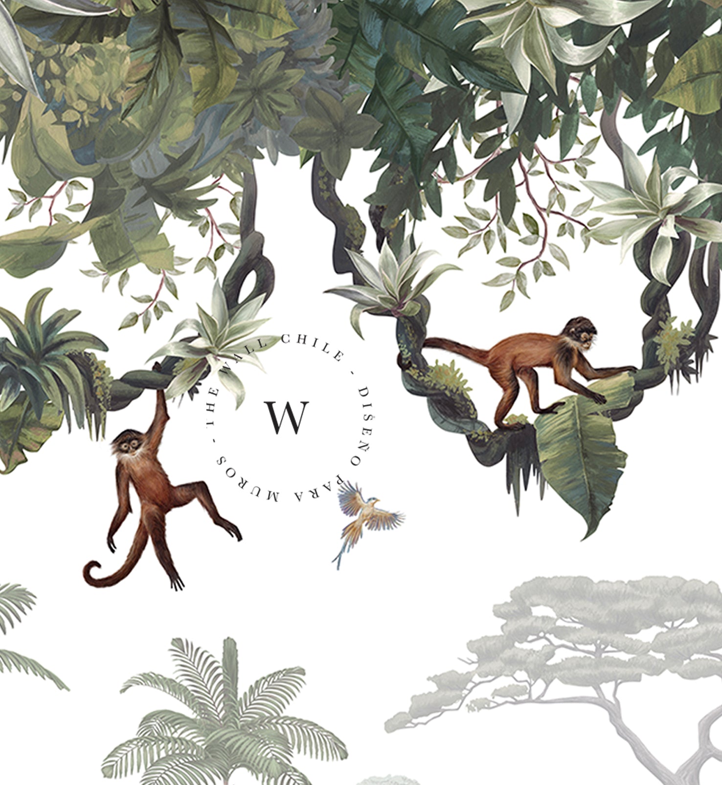 Cheeky Monkeys