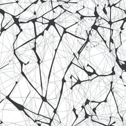 Connexion