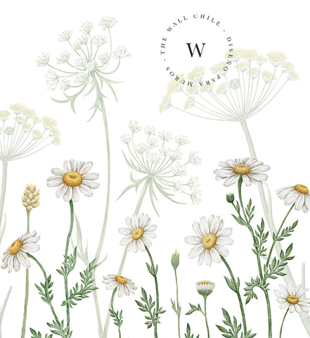 Dazzling Daisies