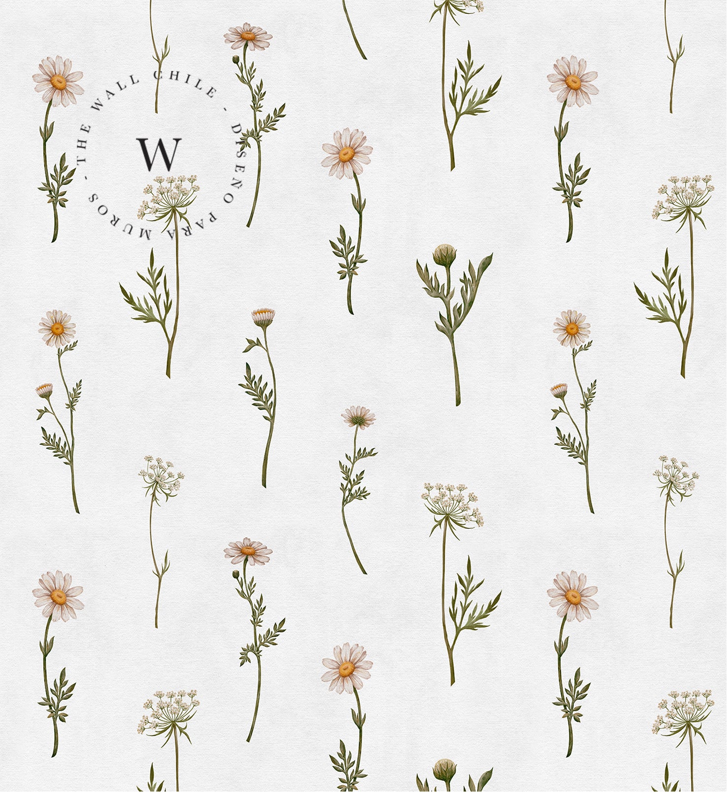 Dreamy Daisies