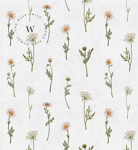 Dreamy Daisies