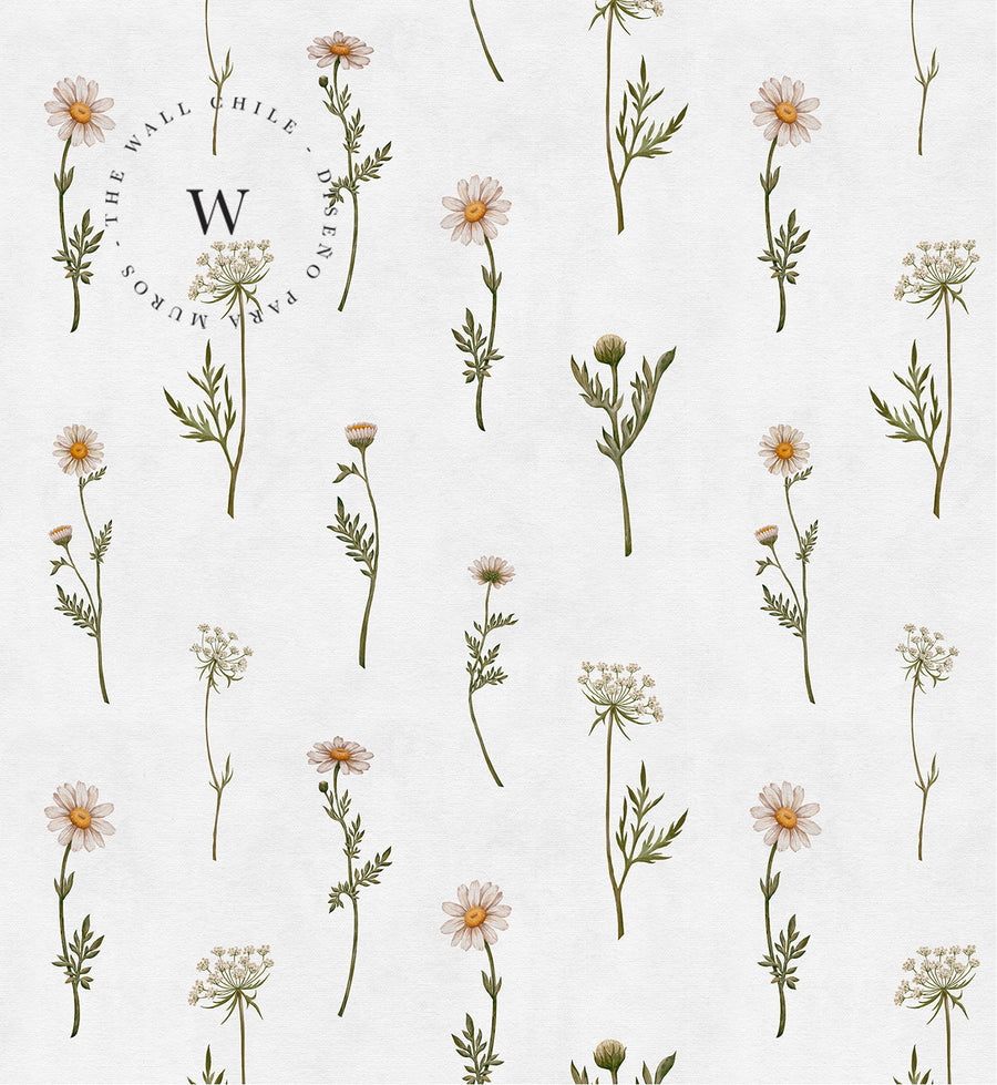 Dreamy Daisies