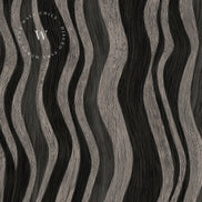 Echo Waves