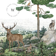 Forest Vista