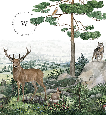 Forest Vista