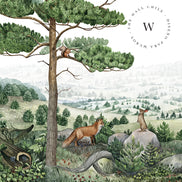 Forest Vista