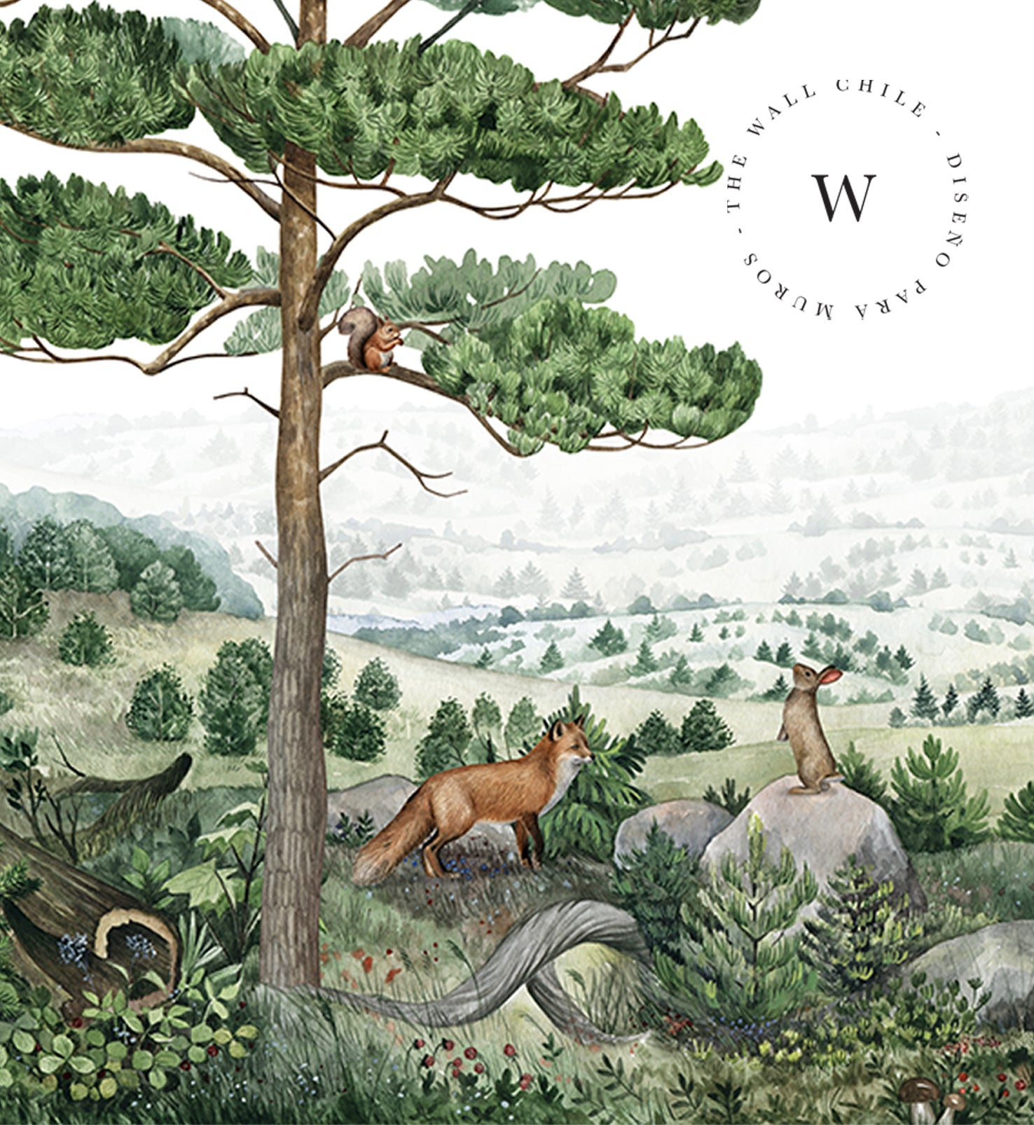 Forest Vista