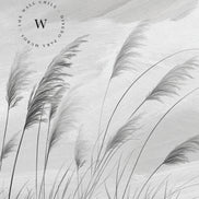 Grey Grass