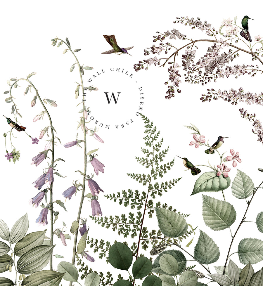 Hummingbird Hedge
