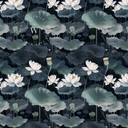 Lotus Noir