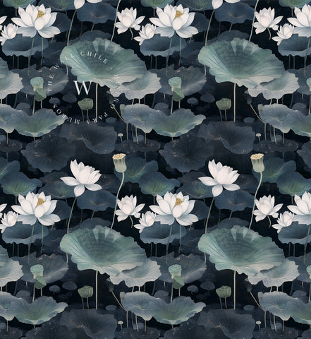 Lotus Noir