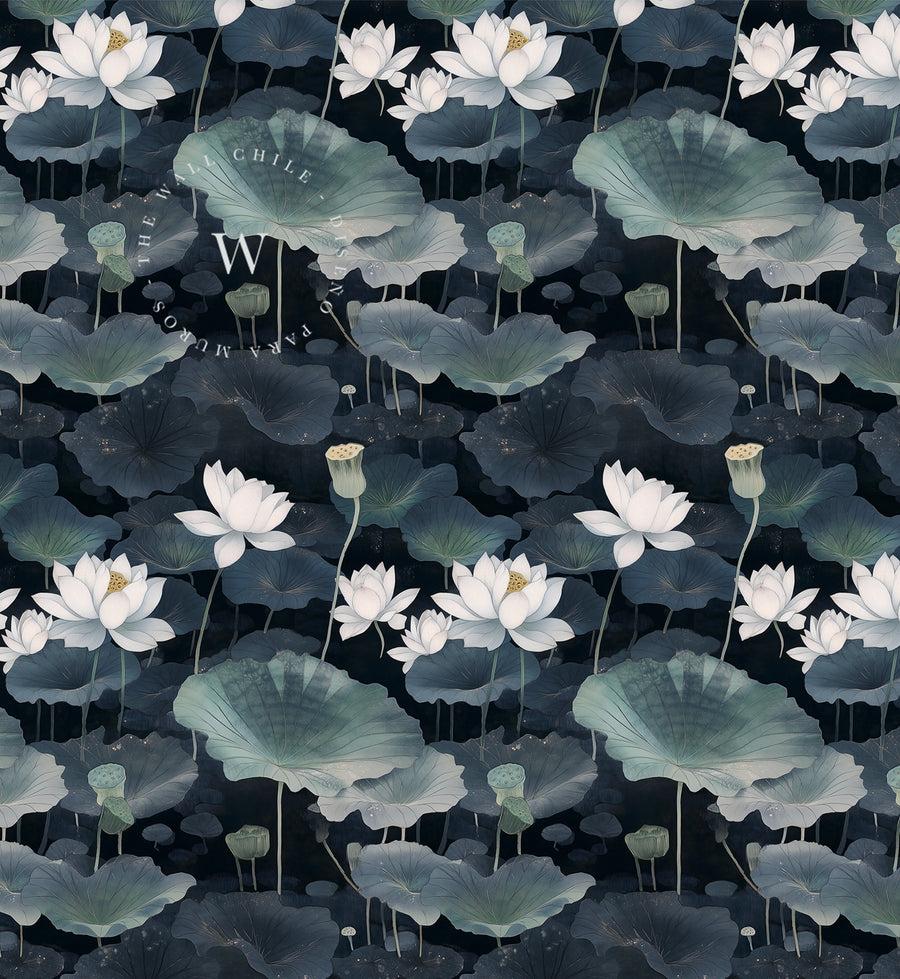 Lotus Noir