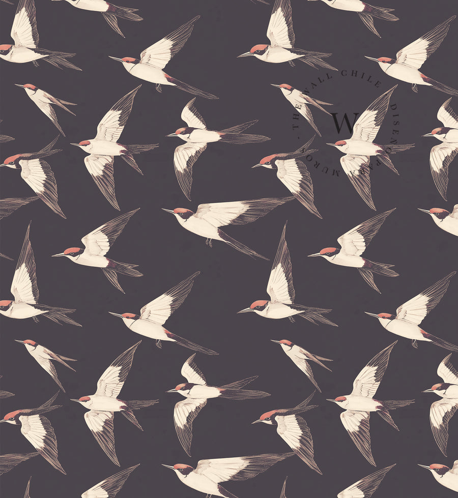 Midnight Flight