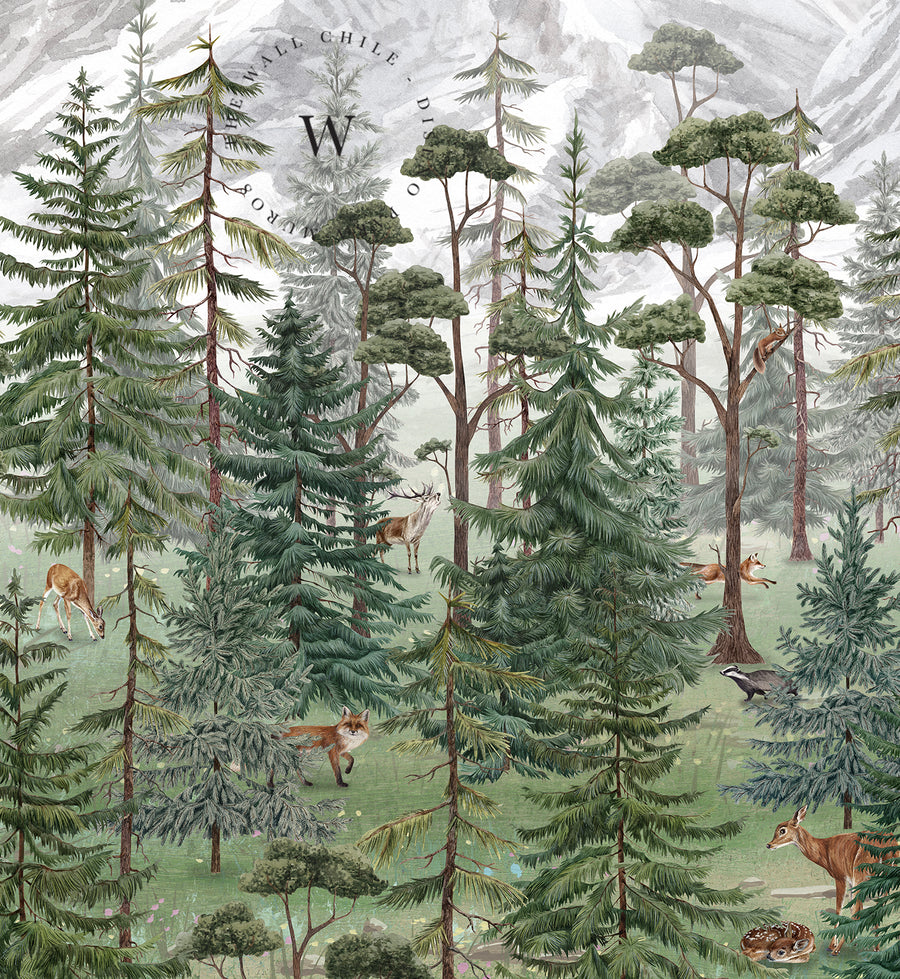 Mountain Forest