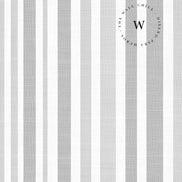Neutral Lines Grey