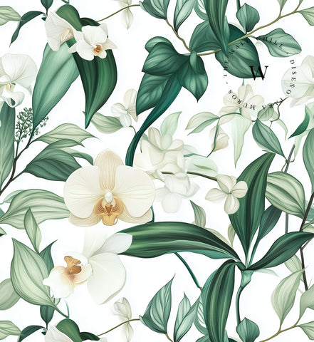 Orchid