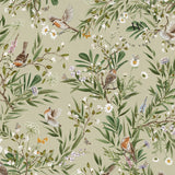 Playful Robins – Green