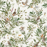 Playful Robins – White