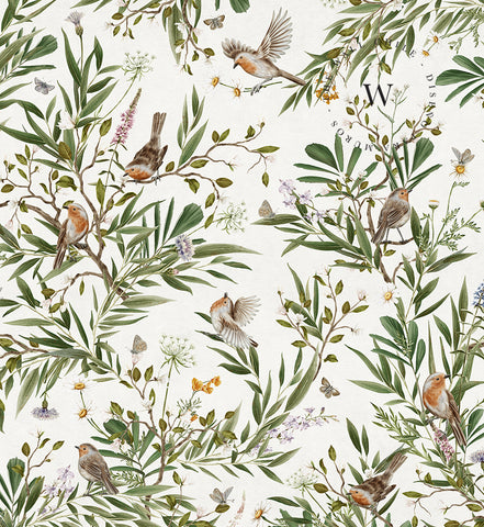 Playful Robins – White