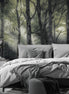 Quillin Forest