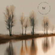 Reflection