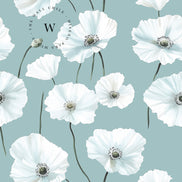 Serene Poppy