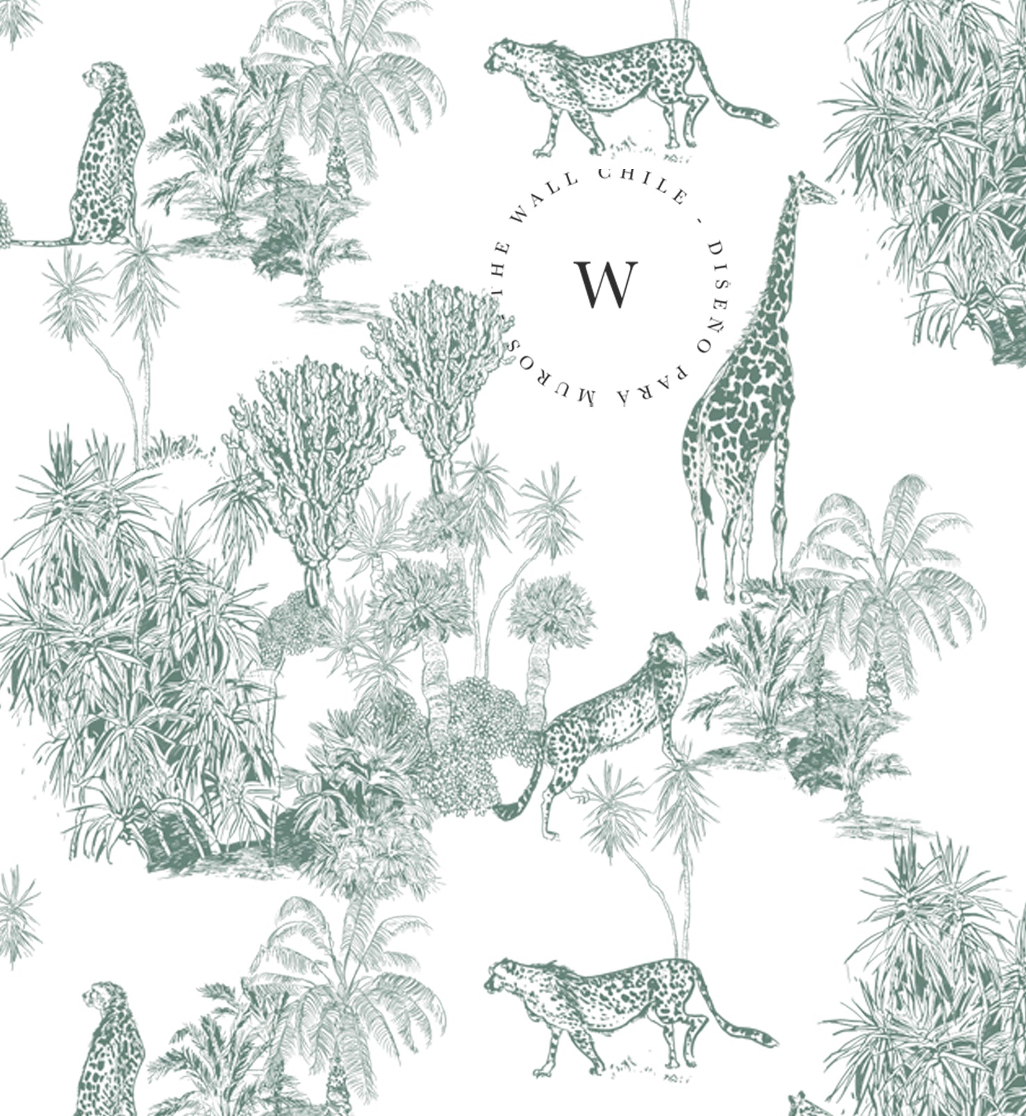 Sketch Sabana Green