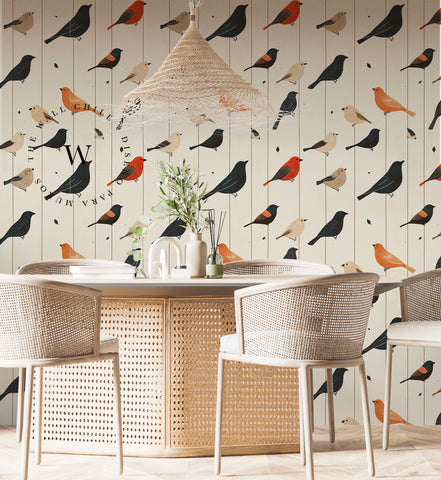Song Birds