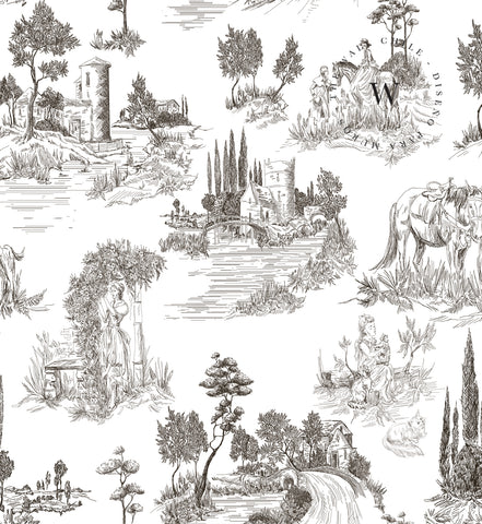 Toile De Jouy Black