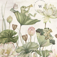 WaterLily Orchestra