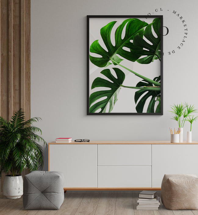 Simple Leaf I Cuadro