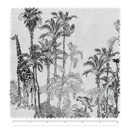 Draw Safari