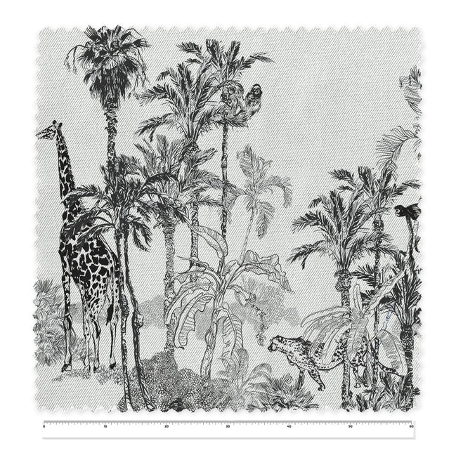 Draw Safari
