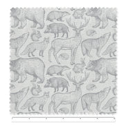 Wild Animals