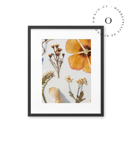 Dried Flowers Cuadro