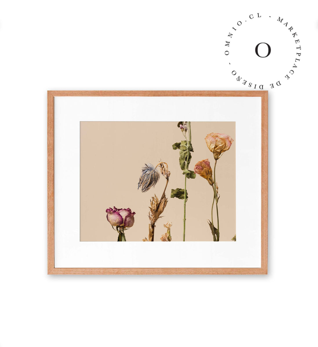 Flores Secas Cuadro