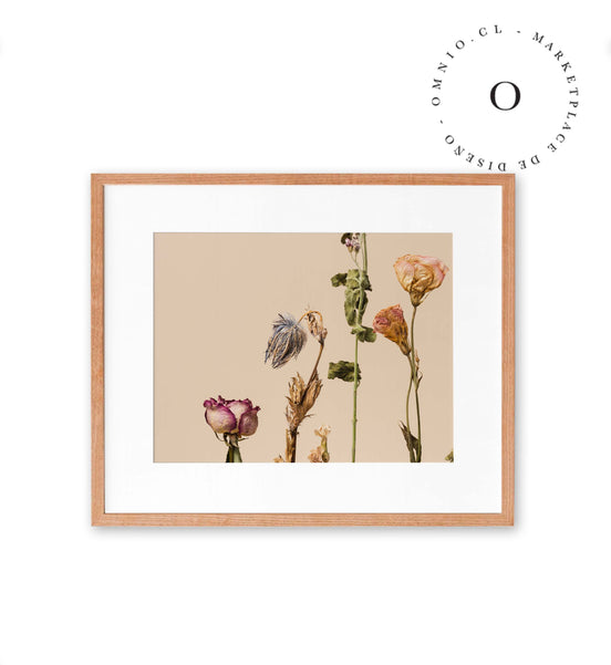 Flores Secas Cuadro