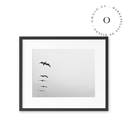 Flying Birds Cuadro