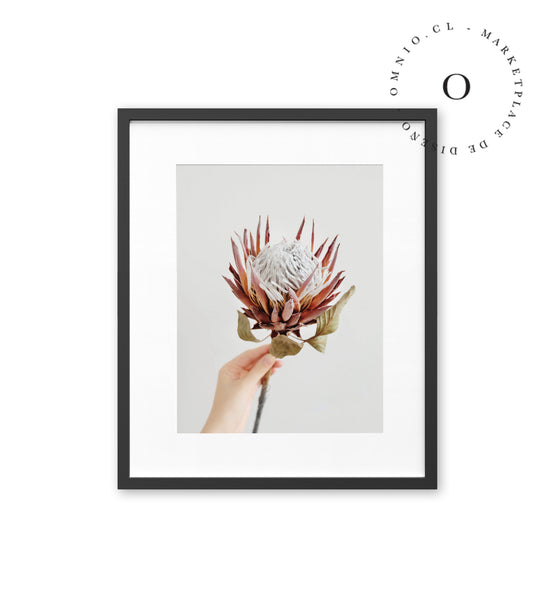 Offering Cuadro