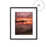 Organic Sunset II Cuadro