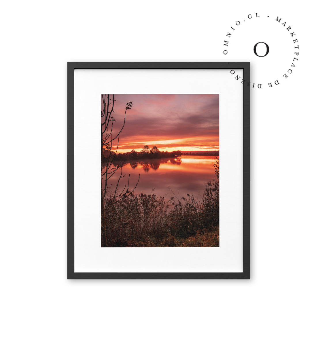 Organic Sunset II Cuadro