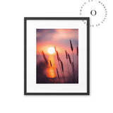 Organic Sunset I Cuadro