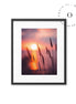 Organic Sunset I Cuadro