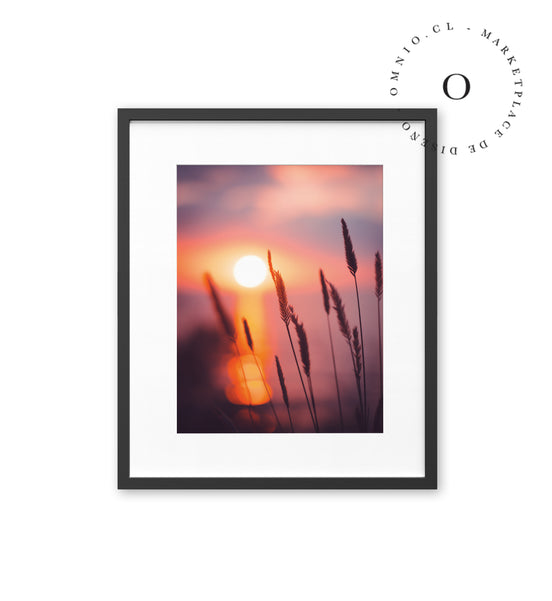 Organic Sunset I Cuadro