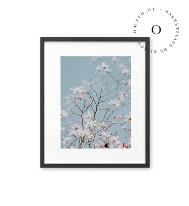 Paradise Flower I Cuadro