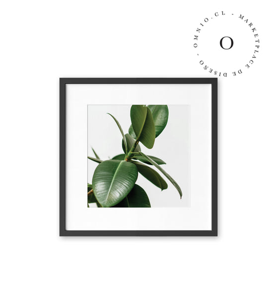 Simple Leaf II Cuadro