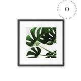 Simple Leaf I Cuadro